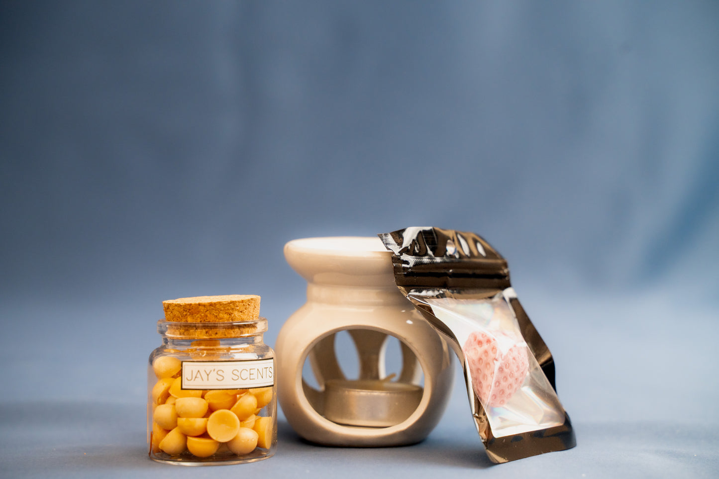 Christmas Standard Gift Box With Scoopies