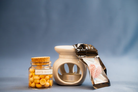 Christmas Standard Gift Box With Scoopies